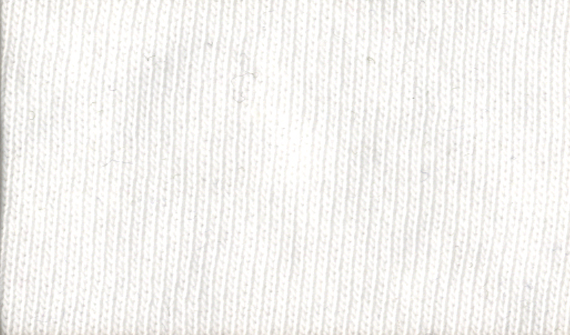 Teddy Design Sweatshirt